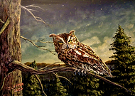 2020-11-16/5b07492d94bcbd97b1048b35eedbca1e_1098bd5a682ffd499408f7a1832b7159