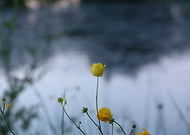 2020-11-24/5439067e5830c5cc1c47017af3994645_ac9bd76c88da4e72b54cc0b3ecd54c58