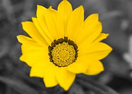 2020-11-27/0e2def950e2bd1223c2e798e1d029c7b_de19e248835add7ee5543276d338d1dd