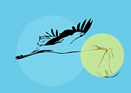 2020-11-27/1b2368b505365ce025d3ee9543ae8c79_5ec0cb5d73a0c337074757b2d2f026ab