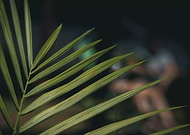 2020-11-27/597d4c7b52fee928166ad18f81f7a7db_60a7fbd19e2c0e1f73283063270811da