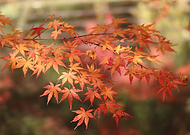 2020-11-27/84ee20bbe69490352ecf87ec2a2c9cf4_1fa087bc011bb6dac36b81423012ec30