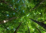 2020-11-27/fbb8947d6e918aaed963d8bdfc39fdc7_1aa349175d25eb0cbaca1fe9b891387c