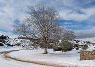 2020-11-28/bc67ddcb0ffef421e73dcfa632a3d0ff_43a4622871c3546af1928ee77fea93ef