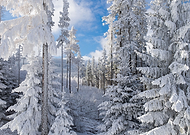 2020-12-01/6c32873b84d63e0ae0d83006a2dcec8f_fc30652225a45923b14b8366f352528c