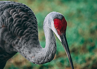 2020-12-01/847b7b0c216dea85d1fb14baf865ca3b_23292ae96db347d4804a4068e6c4ad08