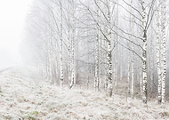 2020-12-03/07091404a7a89e7ba245f83f86bce5ef_3ddd3d12c07b71b98ea878014d37d7e4