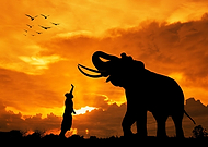 2020-12-04/2c87646b1160342397fbcf46c3fb42dc_952076d129bc2db50e24969375247832