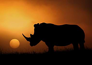 2020-12-04/c9c4dea55d17f40add70d63e0d876335_0606f0d8aab891c163c82dbd60a3b560