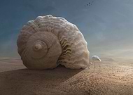 collection-preview-0