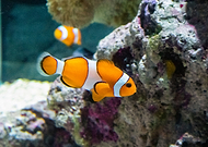 2020-12-08/198be93360d552b22915d6d37a2a33ca_98f87364a95ba21d480e0833dd346fea