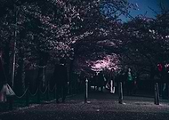 2020-12-11/c7060a484f36629bb2716969550c6b29_03677564c703ba11985aeaa6c41376cf