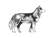 2020-12-21/e895d79e76aaa4905eff22bd6641b0bb_2a2bf61221ba30592139b473f08e5efe