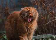 2020-12-28/98a9a5fe10c37b83bd191f2a7999280f_7fd0dcd157459a55e797e7d09ee0bf58