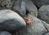 2020-12-31/fd265bf4616bbfd85e617a0f00fc5c4e_8412a8f27b034b9498f463f459d244bc