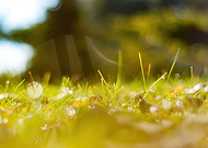 2021-01-06/6f1bd106bd7d5f373e014349c06180d4_9b103380870dfb32bb3d77ee9a3063b0