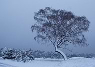 2021-01-11/d89824b11442fabb801f41ae3b394e64_6b3bb5d857fe65ce0762b76eb4c60601