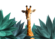 2021-01-11/f6c8577074180cb0bc3168009ee52ac5_937bd243f51db6e794c7b06658c24f6a