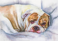 2021-01-15/9b7e53ae563f51e4ba431d7236ad43b5_0ba7ded96e4584dcd61a744be1566191