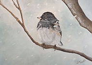 2021-01-18/ca5adf5ef8aa26ea1d7ef1c14828ef3c_188b873fa186aaf0393ae8606affc5d9