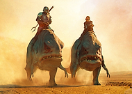 collection-preview-0