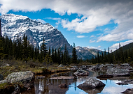 2021-01-30/0d5ef4330e4d8b0b5c0e3c7d24003b21_2442de25853c8832350b9e2340e4866e