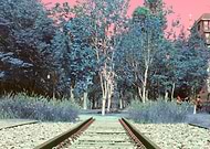 2021-02-01/223b4eb133bf054039b0b5f746f81716_ff424a3edd54806db3a33b82ca2bd77c