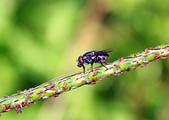 2021-02-03/f66ed3d07e67aeae951c278352cda318_b588c48fa5dc5e67e0a7e6d60c4fb318