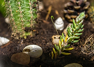 2021-02-05/51302fd7ed1c046be9dec9deaa8c8311_e111aa6664e9968897e4498d2e6b7e1d