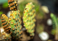 2021-02-05/c9d068fd13379233f01f49faaff921c6_a0bdb08d353b25256d5183ff7699d6fe