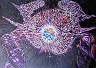 2021-02-10/c592c158a2be8755e053eba2a73e903b_55f153e061ea41acfd958d8a03051175