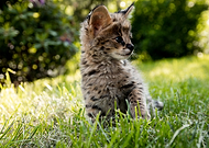 2021-02-13/7e687f2893ffc20a7558808e7a269b91_aaaf3c804faf805ce60f1c3f665eaac1