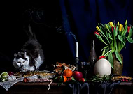 2021-02-14/ec1f49b091b97a8cf8dca8ddaa8b2bc6_d4063b797d378df1554e18386a08a4b6