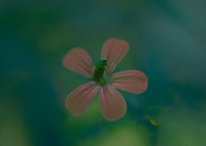 2021-02-17/bf5738d69d271ab9b7e9d7a908d0ea0a_268302280d862e8c88a73d2f8f6d7289