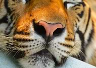 2021-02-20/60a5791f5e90536129046e251c74c79b_8418ffaeceeb357900c32666b6953bf4