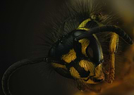 2021-02-20/ac60ced6114a90432203cde8d44a6b97_feb14691da1396b71726f0f8a1d752e5