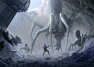 collection-preview-2