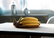 2021-02-27/45aff12233f57bb53f597819209ff51a_ad6e2781df3b6c1517a5bfd905e7d510