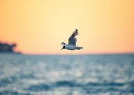 2021-02-28/327ec7bc7471909342d15d6f282bd92a_ce42e43562196467a65daab85eddaa2e