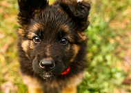 2021-02-28/57b52e4d37bda9826da676d93a2fb6b3_419c31203133108ef68252e94e2eec40