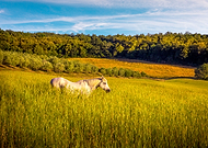 2021-03-10/21a95ccd95216d3bd435bb2bed0c5f62_b3e5a8c7a9f3cd708b4d8cd42fe43b6c