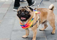 2021-03-10/46d05a1a3e412aeafb94f4c2de107b25_7aea30ccb0cac13b2016b55d4461fa99