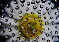 2021-03-11/4b982cb80e1ebdade425e739c77fe124_7453187056362ad16a0cdd6a5fea31d8