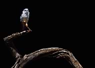 2021-03-11/567d53523753f693716821bcb07c5398_6f50301cc4c933e04c76f881578955e7