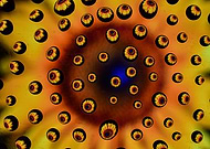 2021-03-11/56850fc8ff575f2ddc61673ea0111802_530f6d4cabb265c3889a2bd4bbff53be