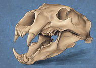 2021-03-15/bdc4d65175ed5a1fe764cb52c4ed2be8_22de0ef03afae67852a55580c1264ec8