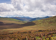 2021-03-24/9e05bccc90cee4f0aead7406a570f961_3177a85f574bc00663c2eca478943d0f