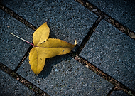 2021-03-29/ab3b572fe7147aae1d8f791fa841aa2a_bd47e41c0e1506f9bde5d563da8ee1ec