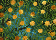 2021-04-02/0294145160823b5ab3c4f38746c9836b_d5ffc4558998e1ba1bdc3828d196c9bb