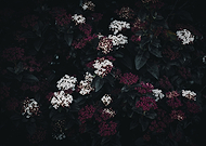 2021-04-05/d7f5e3ed6f2dcf5a8444f6105ee47b3a_3f818a78755778fffb534fdeaa246747